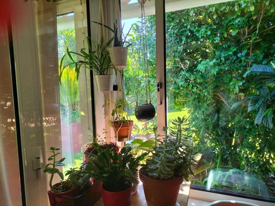 Casa Triana Villa Soure Luaran gambar